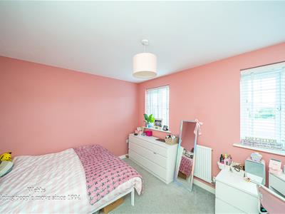Picture 12